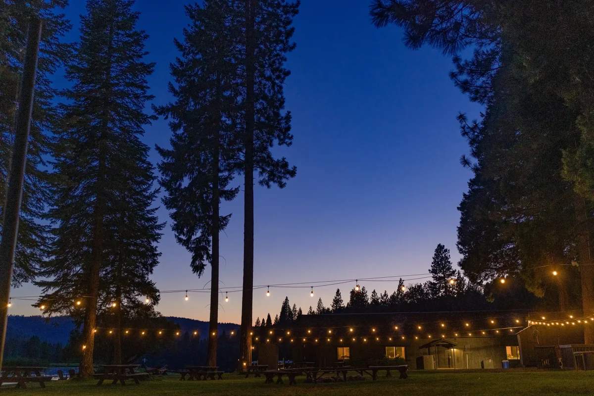 the Greenhorn Ranch at dusk with string lights and big, tall pine trees silhouetted.