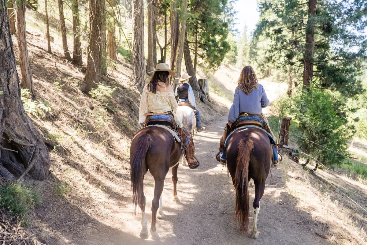 Women on horseback riding through the forest behind the Greenhorn Ranch — Dude Ranch in Quincy California