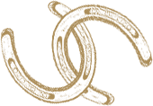 two horse shoes interlocked
