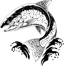 Jumping trout with water splash in black-and-white vintage engraving style