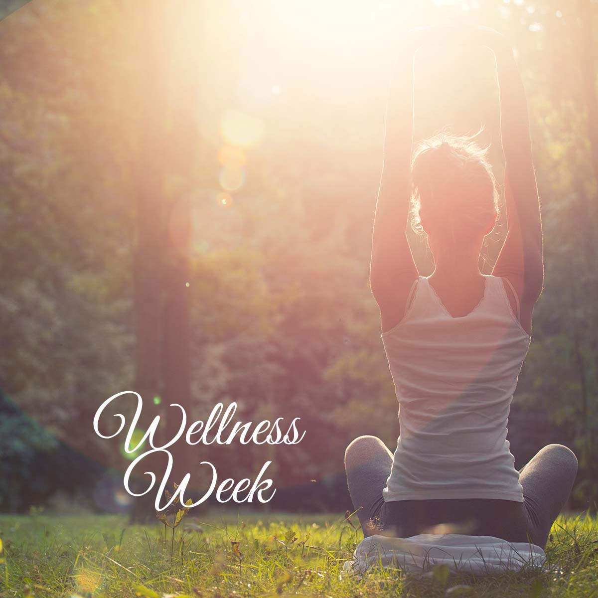 "Wellness Week" over a photo of a woman stretching in the sunshine while she sits amongst the forest trees