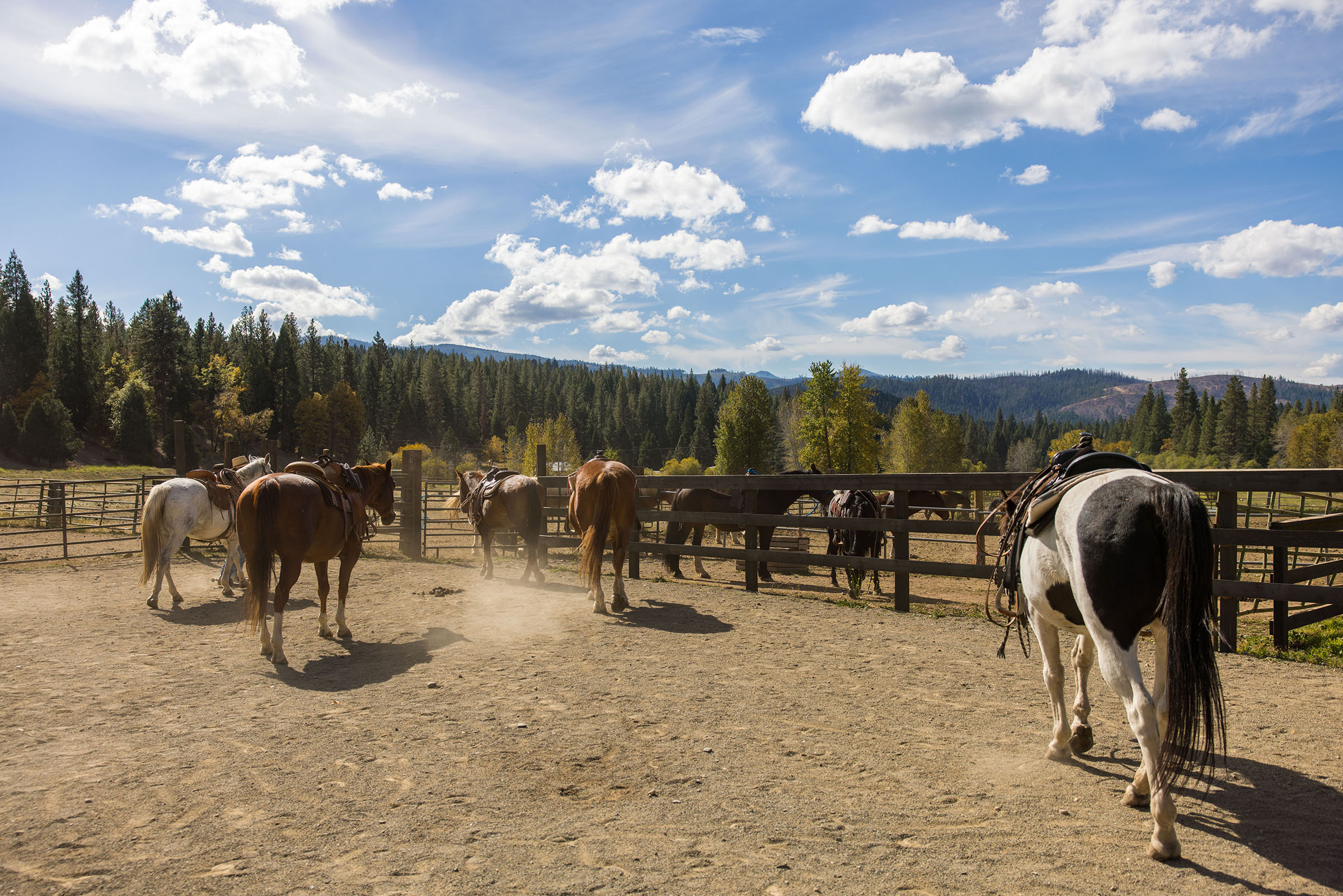 California's Finest Dude Ranch - Greenhorn Ranch