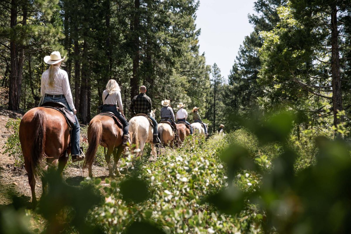 Trail ride through the Lost Sierra forest at Greenhorn Ranch