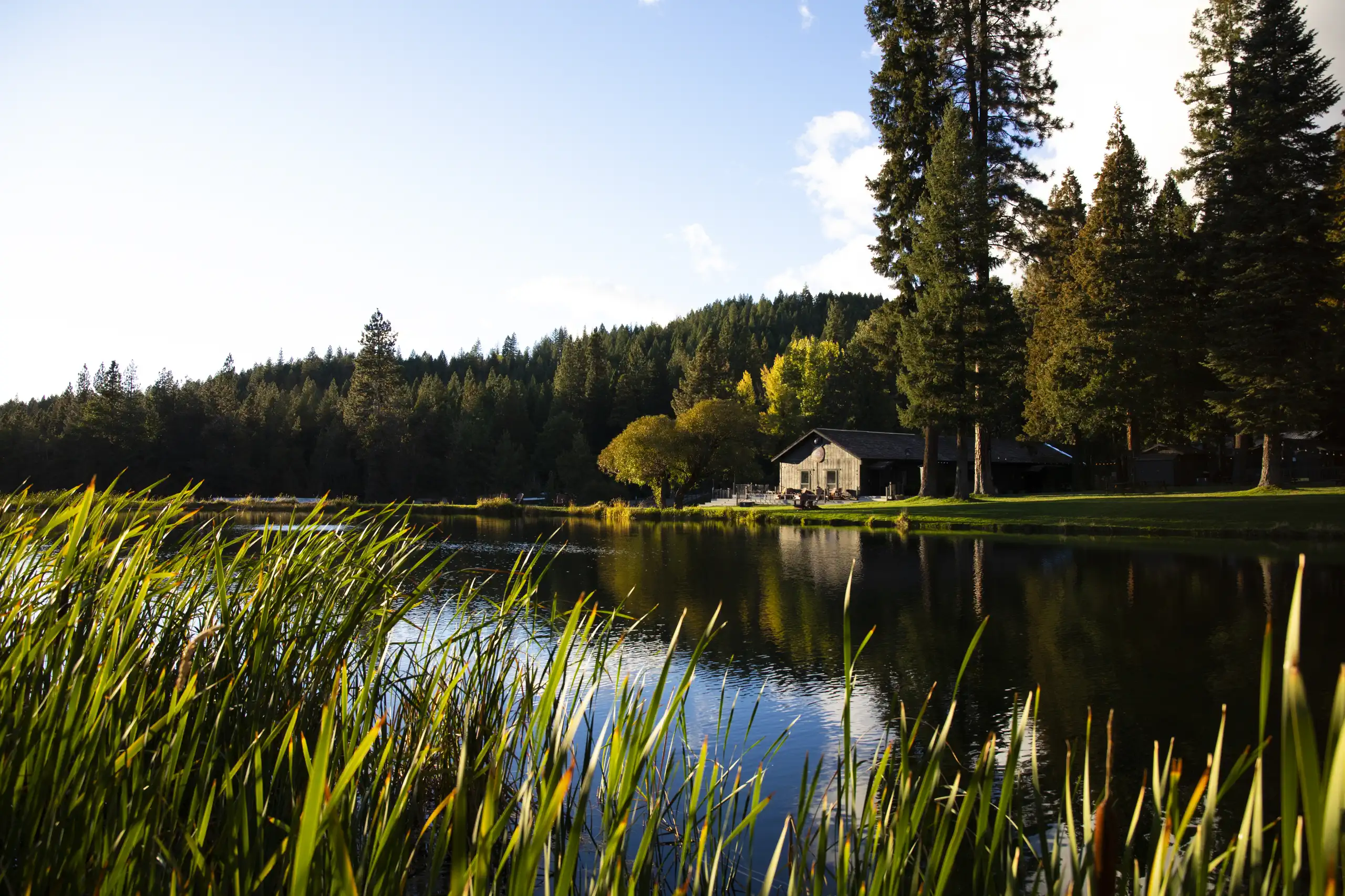 greenhorn-ranch-property-04 Peaceful pond surrounded by pine trees at Greenhorn Ranch in the Lost Sierra