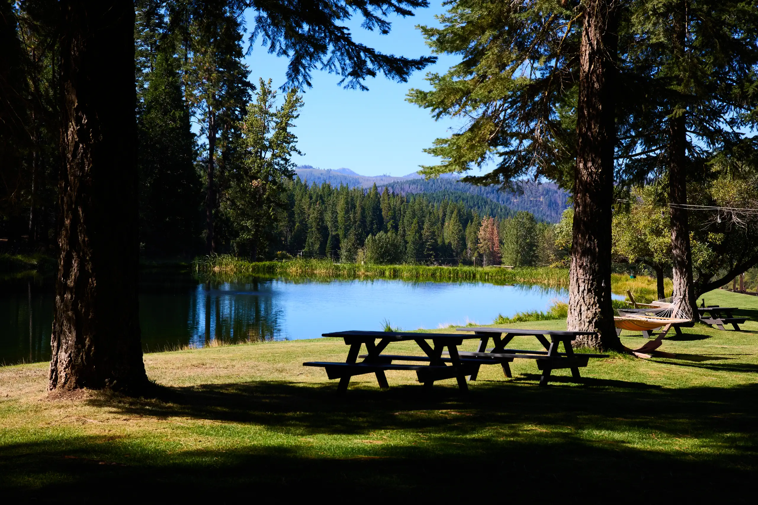 greenhorn-ranch-property-06 Picnic table overlooking the pond with mountain views at Greenhorn Ranch