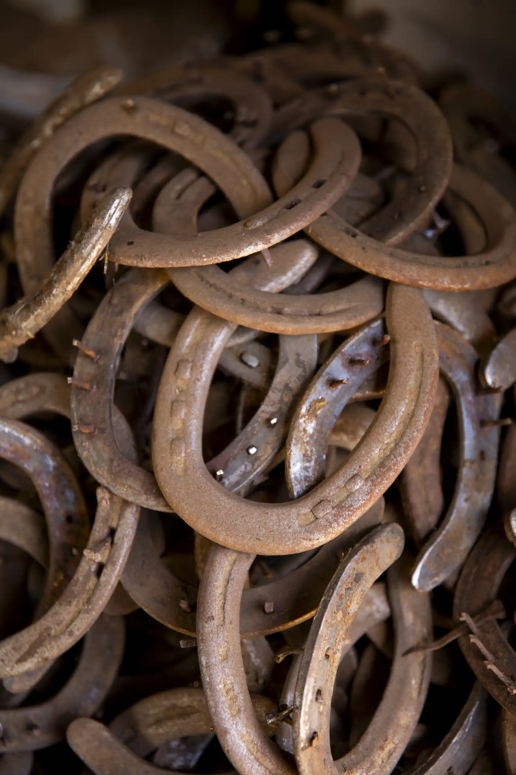 greenhorn-ranch-property-01 Collection of horseshoes celebrating the western heritage of Greenhorn Ranch